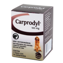 Carprodyl 100mg - 14 comp